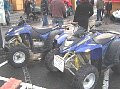 telethon12.jpg